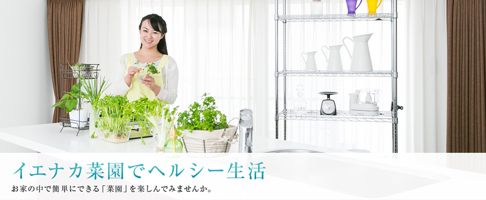 イエナカ菜園でヘルシー生活 お家の中で簡単にできる「菜園」を楽しんでみませんか。