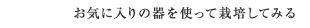 お気に入りの器を使って栽培してみる