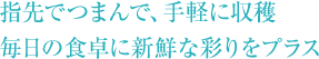 指先でつまんで、手軽に収穫 毎日の食卓に新鮮な彩りをプラス