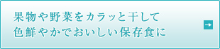 果物や野菜をカラッと干して 色鮮やかでおいしい保存食に