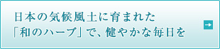 日本の気候風土に育まれた 「和のハーブ」で、健やかな毎日を