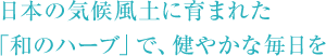 日本の気候風土に育まれた 「和のハーブ」で、健やかな毎日を