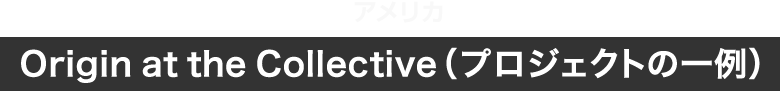 アメリカ Origin at the Collective（プロジェクトの一例）