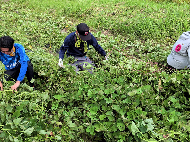 東区豊西町の十湖池ビオトープの清掃活動・保全活動
