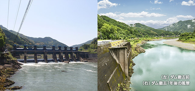 （左）ダム撤去前（右）ダム撤去1年後の風景