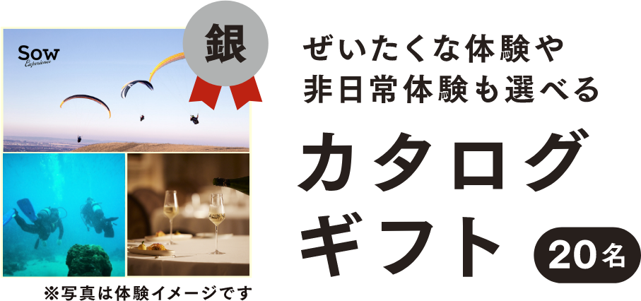 【銀】体験ギフト（20名）