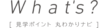 見学ポイント 丸わかりナビ