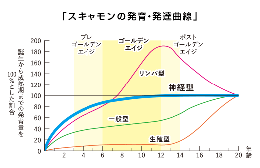 スキャモンの発育・発達曲線図