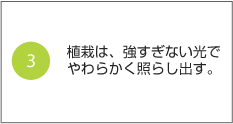 3.植栽は、強すぎない光でやわらかく照らし出す。