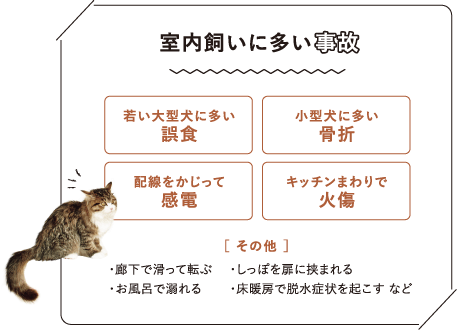 室内飼いに多い事故