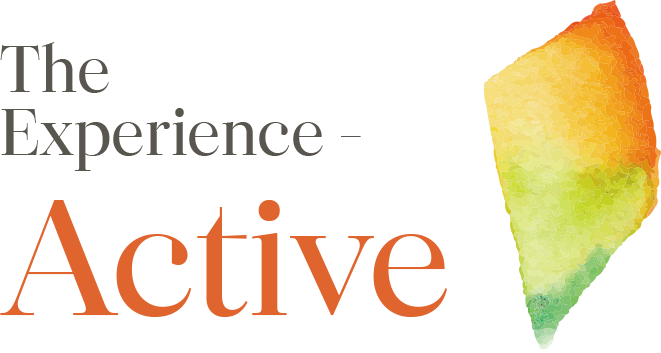 The Experience - Active