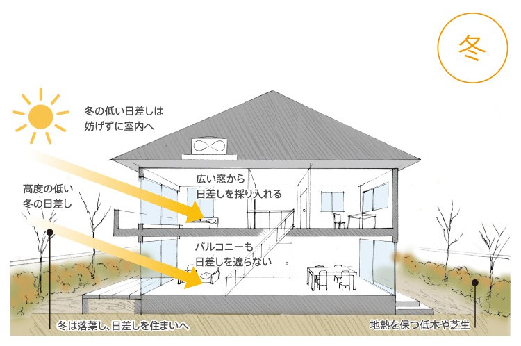 冬 冬の低い日差しは妨げずに室内へ 広い窓から日差しを採り入れる 高度の低い冬の日差し バルコニーも日差しを遮らない 冬は落葉し、日差しを住まいへ、地熱を保つ低木や芝生