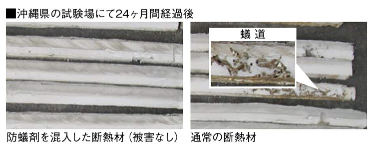 沖縄県の試験場にて24ヶ月間経過後