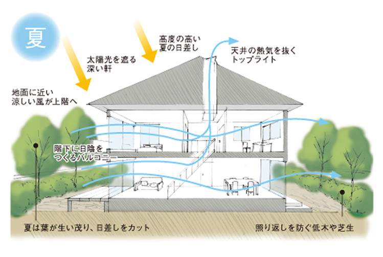 夏