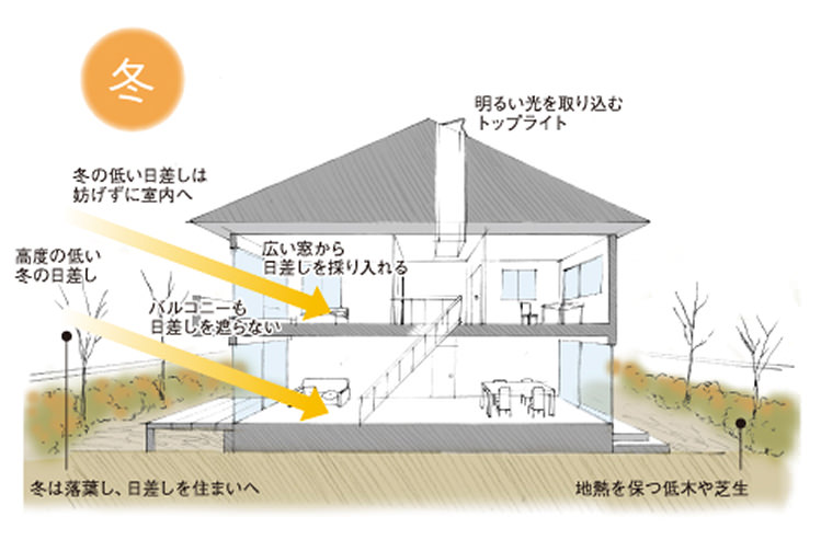 冬