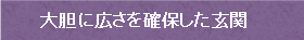大胆に広さを確保した玄関