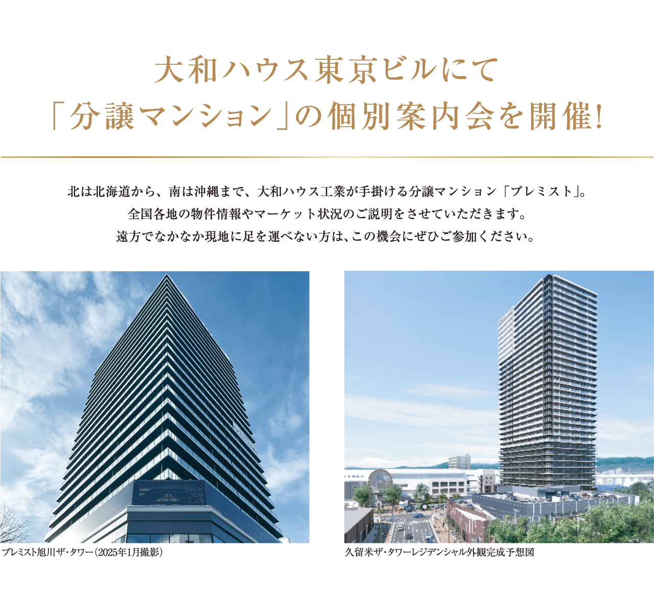 メインキャッチ