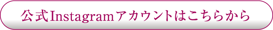 インスタボタン