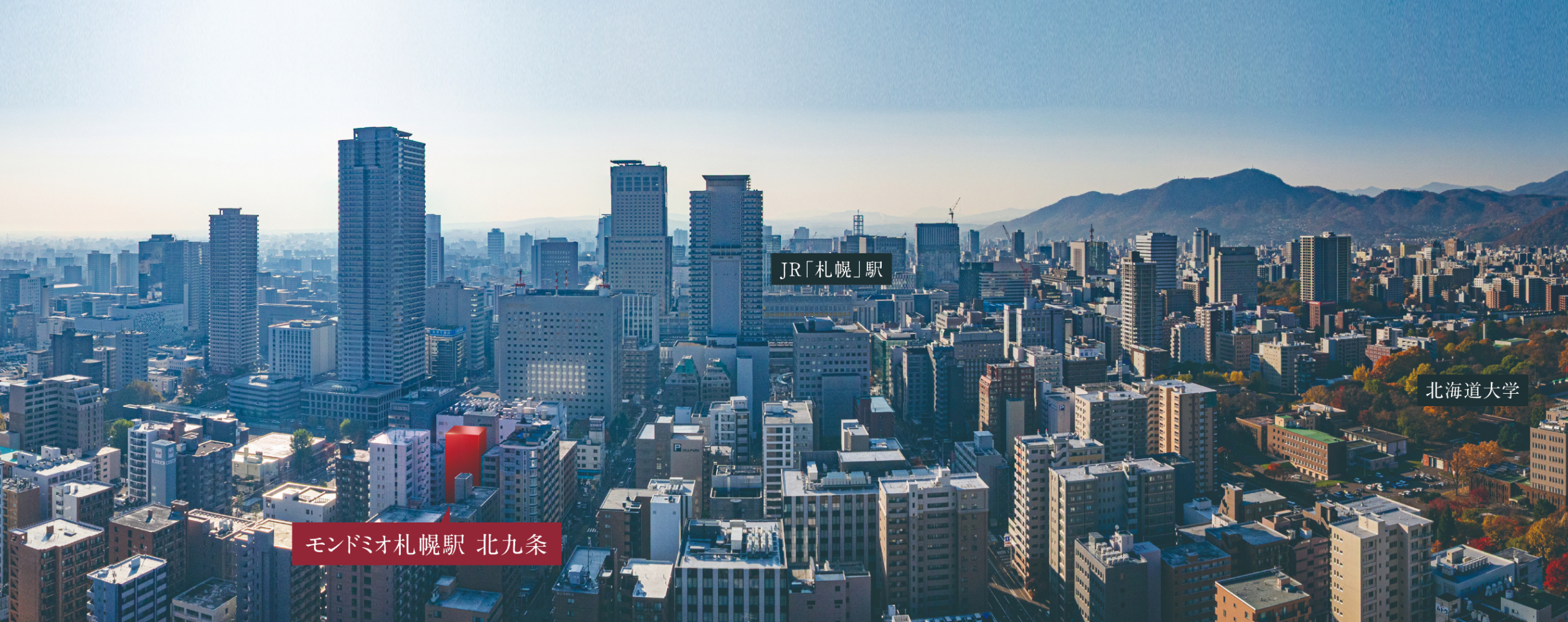 札幌都心俯瞰写真