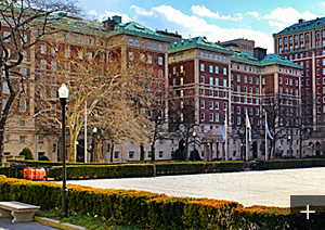 コロンビア大学
