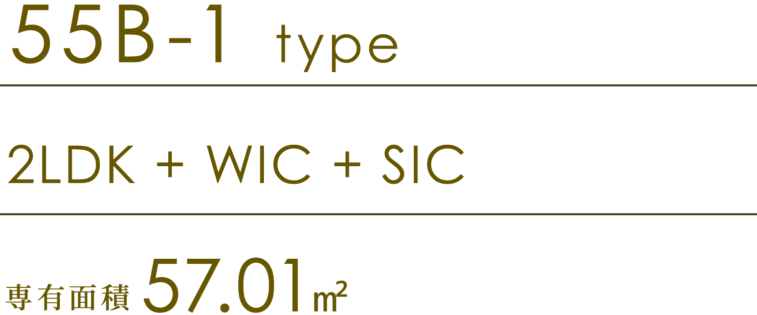 55B-1 type