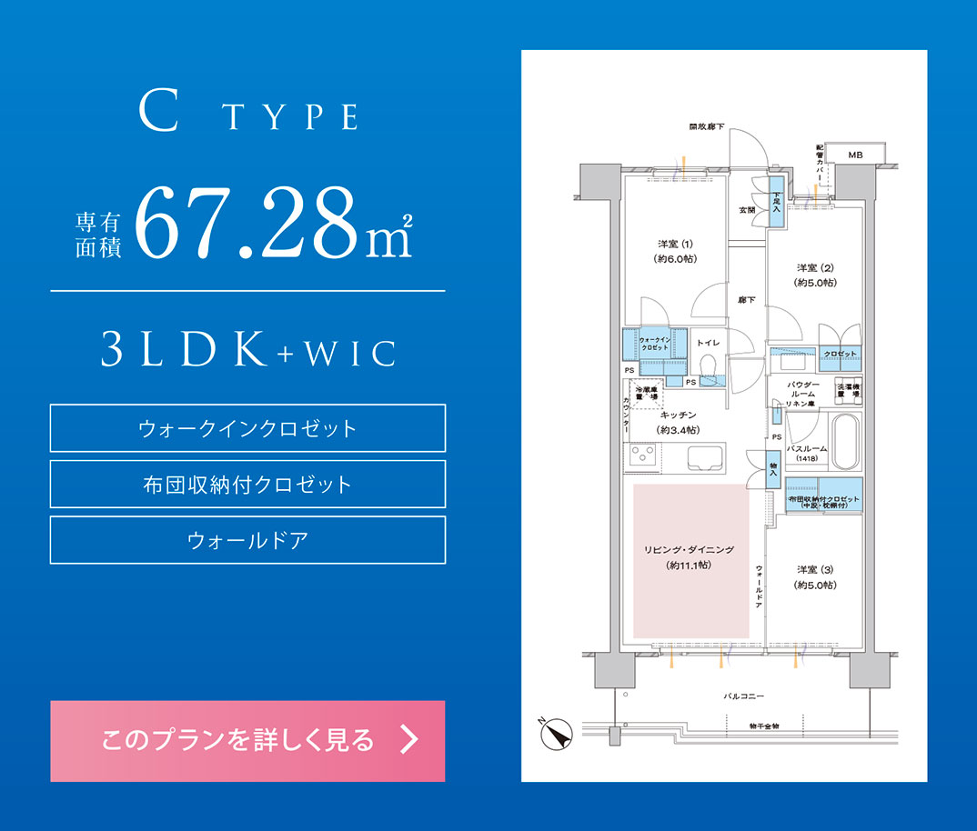 Ctype