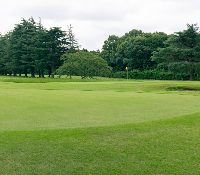 Minami Tsukuba GOLF 南筑波ゴルフ場 約3,090m