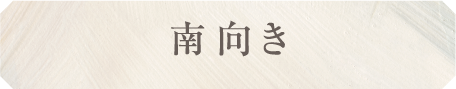 南向き