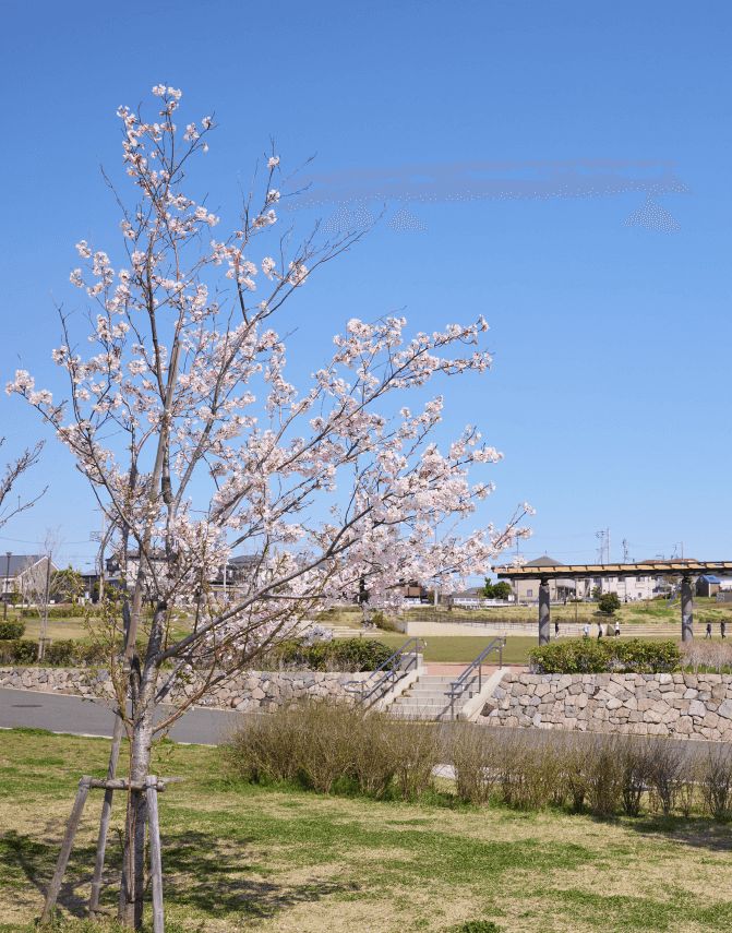 鶴見花月園公園 徒歩5分