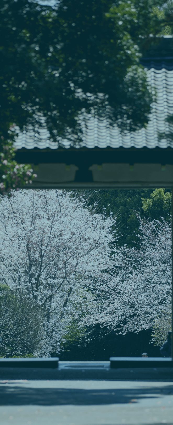 曹洞宗大本山 總持寺 徒歩7分