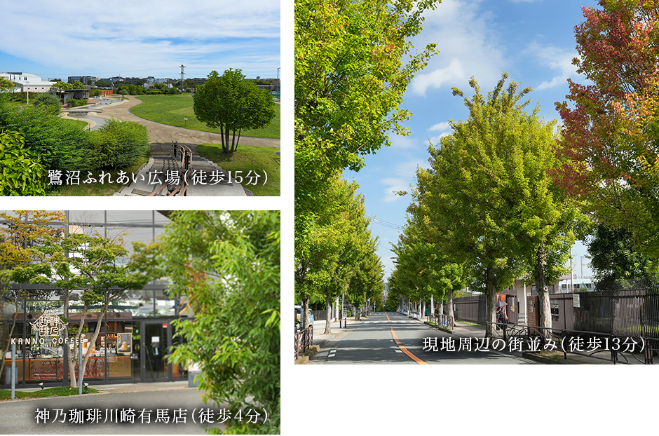 image photo