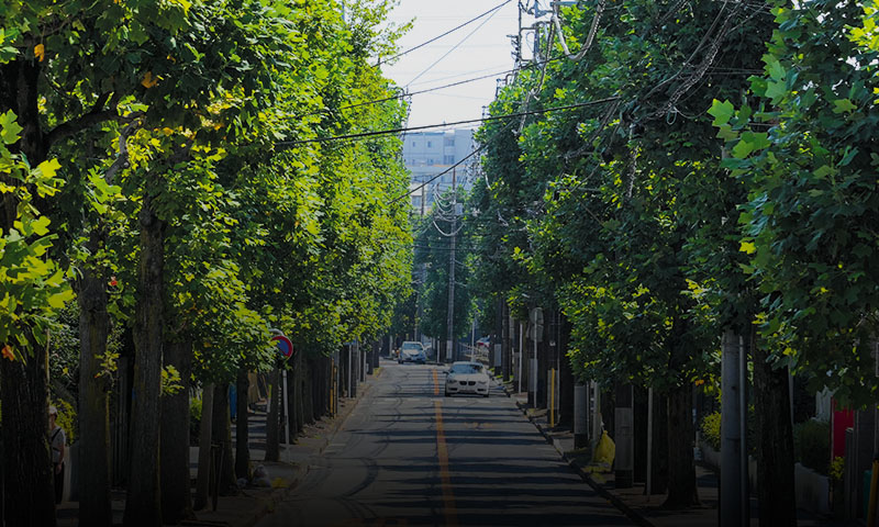 現地周辺の街並み（徒歩15分）