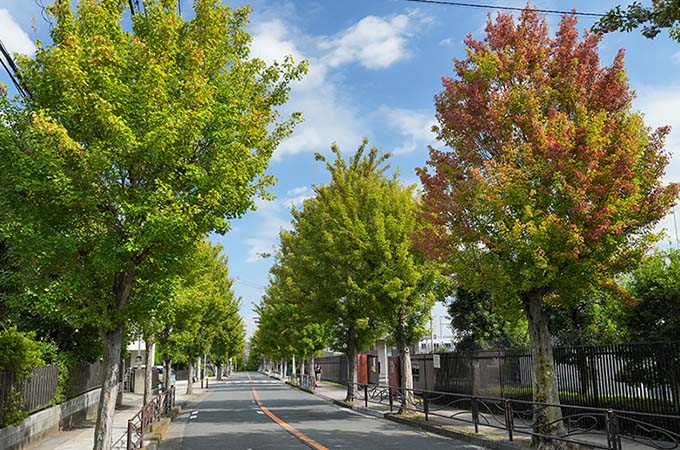 現地周辺の街並み
