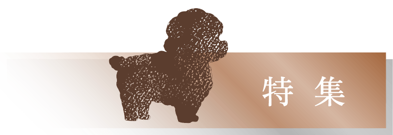 特集