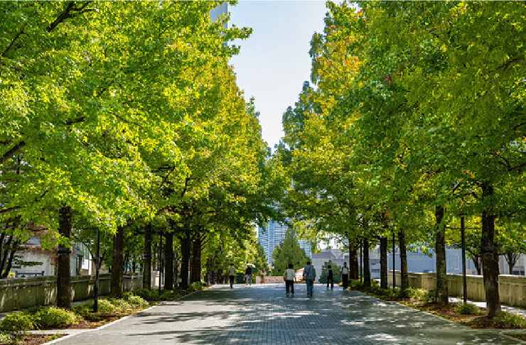 グランモール公園