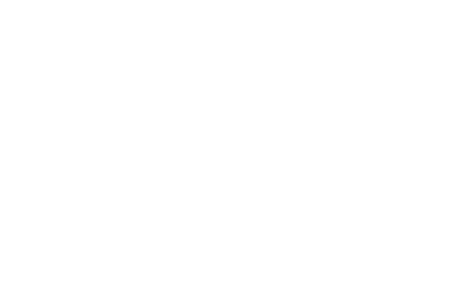 POINT 1