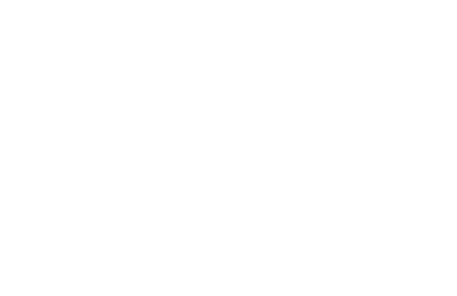 POINT 3