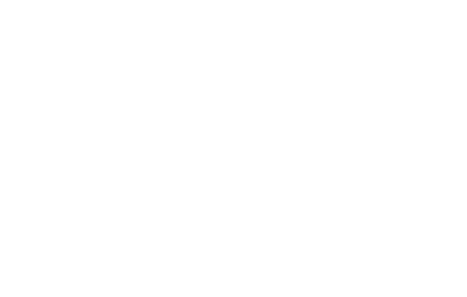 POINT 4