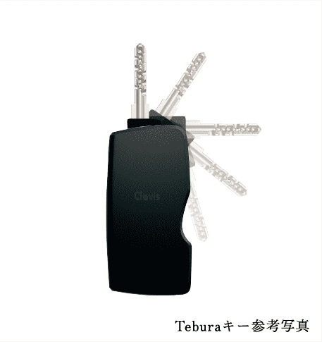 Tebraキー