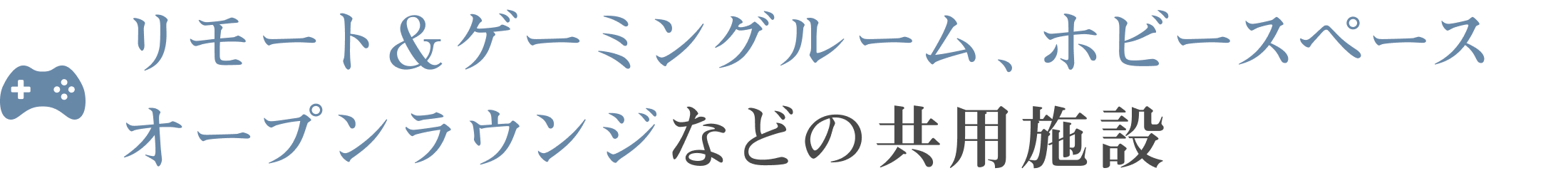 Public リモート＆ゲーミングルーム、ホビースペーストランクルームなどの共用施設