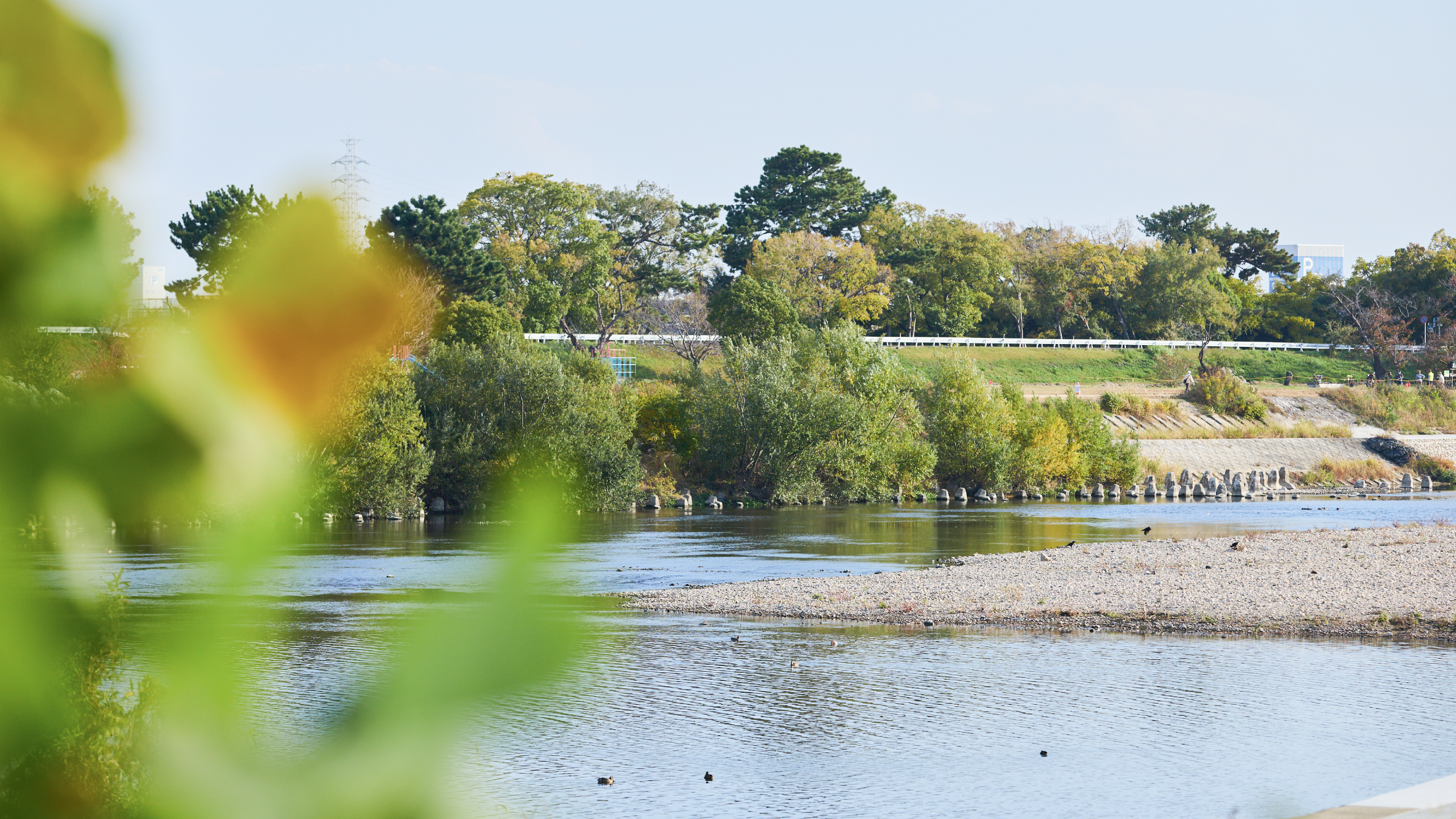 武庫川河川敷緑地（徒歩11分・約860m）