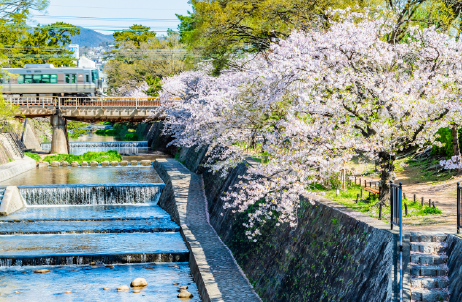 夙川公園（約3.8km）
