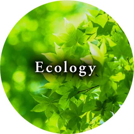 Ecology