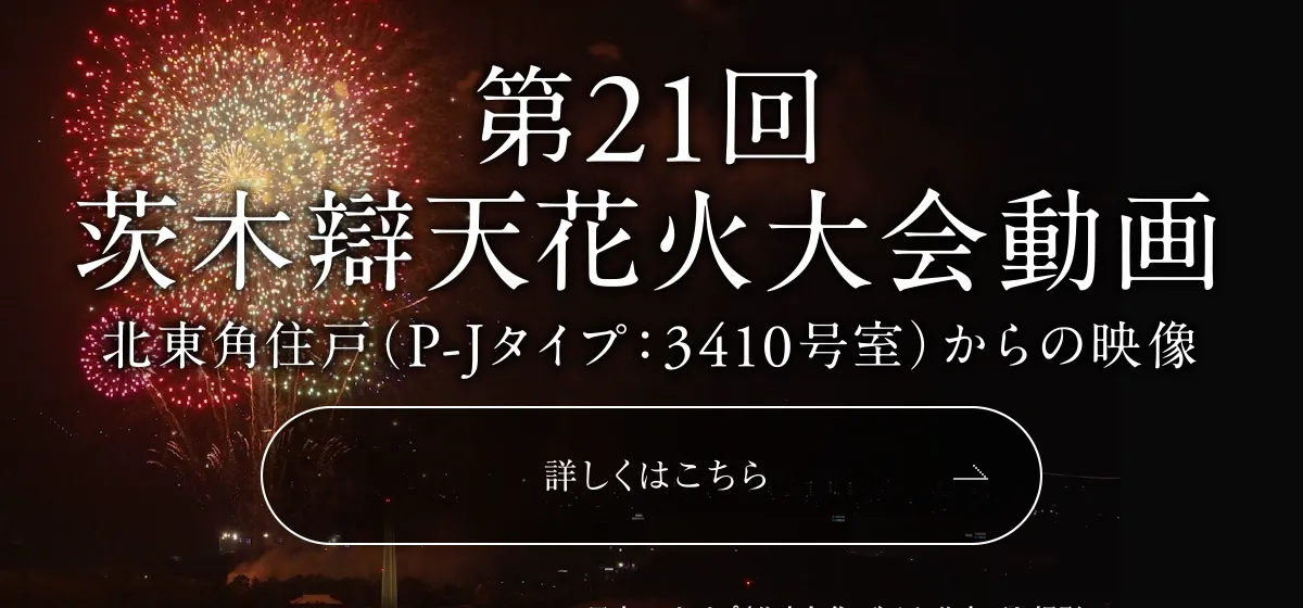 第21回茨木辯天花火大会動画