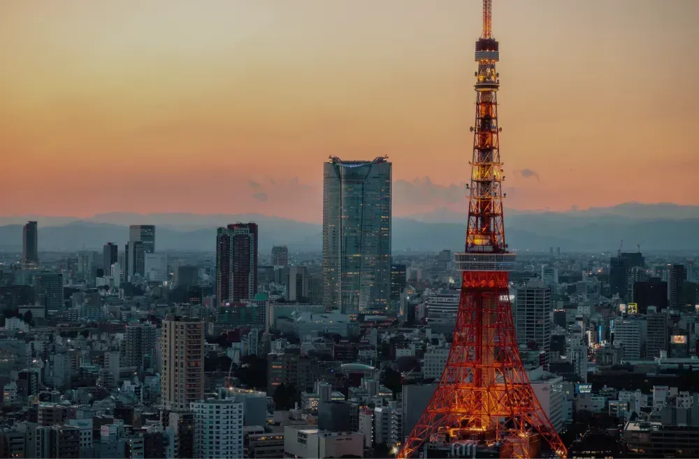 東京（提供写真）