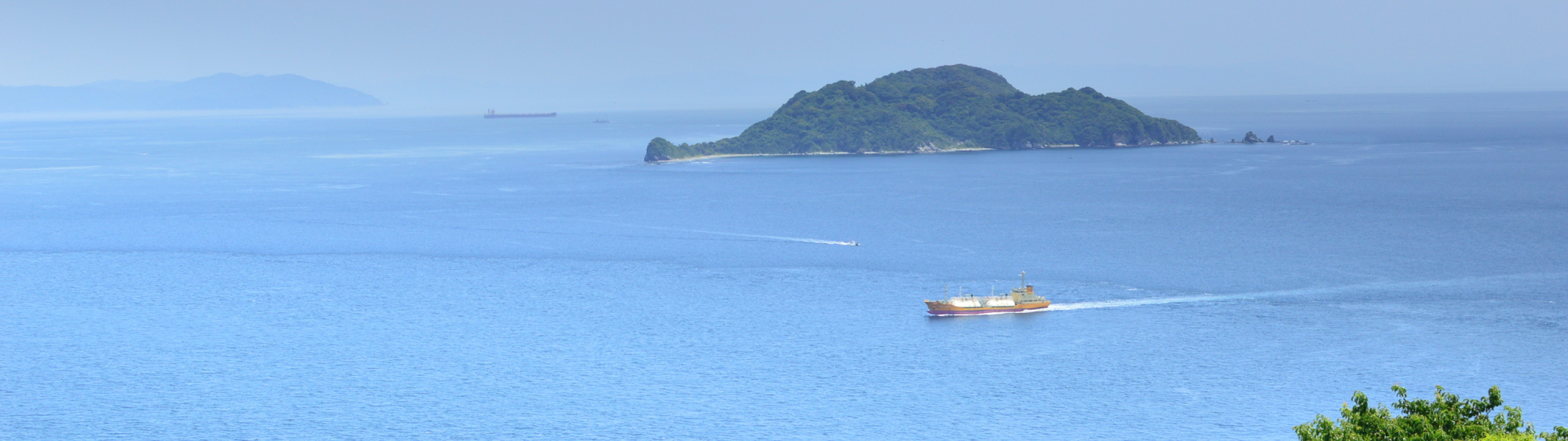 佐賀関（提供写真）