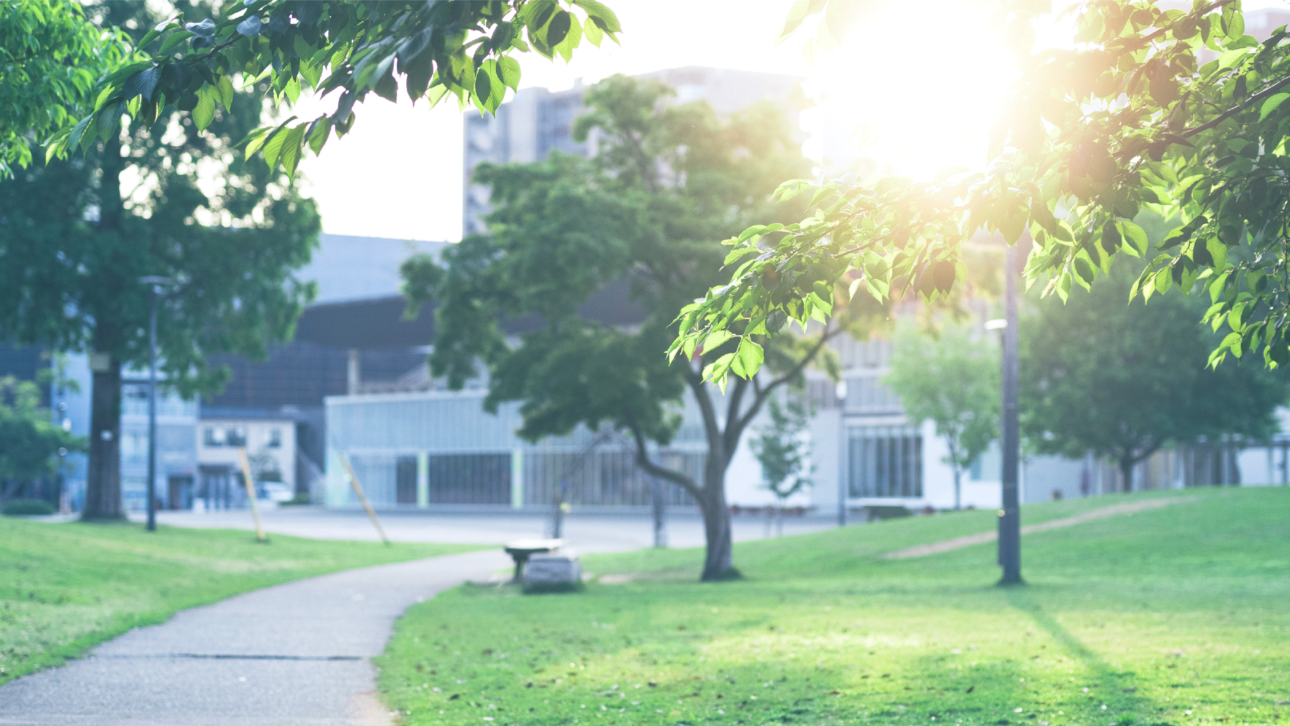 大分いこいの道（徒歩5分・約330m）