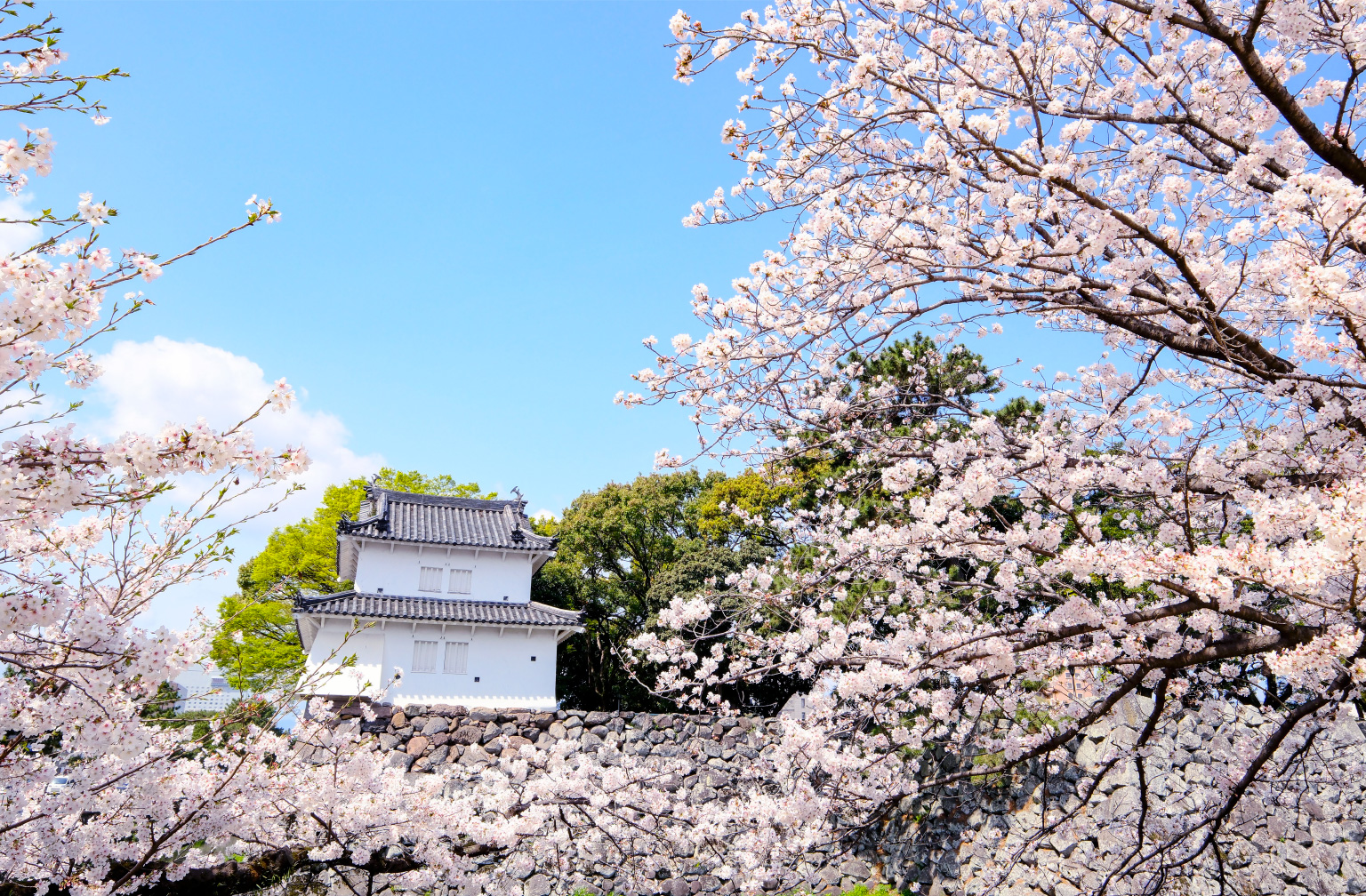 桜の名所としても知られる大分城址公園（徒歩13分・約1,020m）