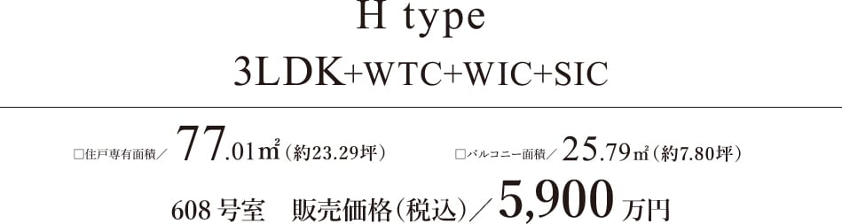 H type