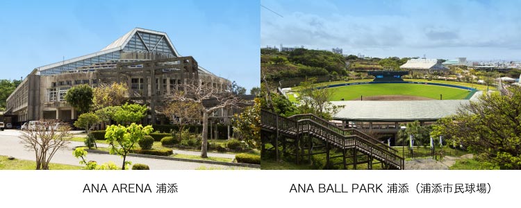 「ANA ARENA 浦添」「ANA BALL PARK 浦添（浦添市⺠球場）」